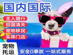 呼和浩特白塔机场货运国际宠物托运 【国